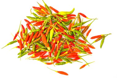 Birds Eye Chili Capsicum frutescens çoğu Tayland yemeği için baharatlı biber, çünkü çok baharatlı bir tat ve aroma veren kırmızı biber..