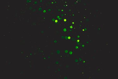 yeşil bokeh doğal siyah arkaplan