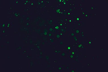 Siyah arkaplanı olan neon ışıkları tarafından oluşturulan klasik yeşil bokeh