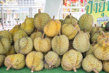 Durian, Tayland 'ın meyvelerinin kralı tatlı, tatlı bir tadı ve eşsiz bir kokusu var..