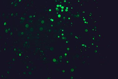 Siyah arkaplanı olan neon ışıkları tarafından oluşturulan klasik yeşil bokeh