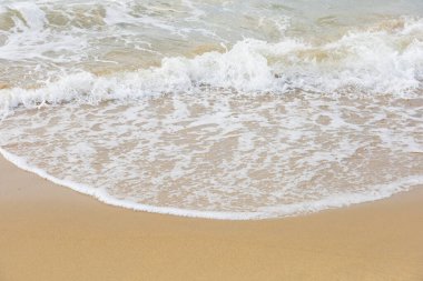 sand on the beach natural for background