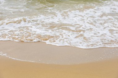 sand on the beach natural for background