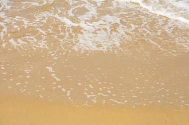 sand on the beach natural for background