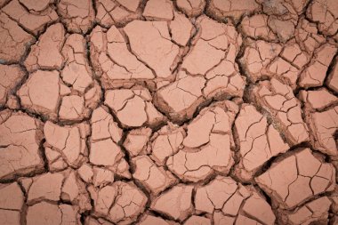 Kızıl toprak kuraklık ve kirlilikten çatlamış ve çatlamış. Küresel solucan etkisi