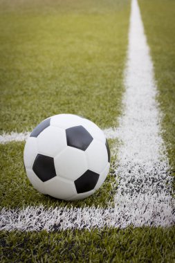İşaretli ve toplu futbol çim sahası, Spor