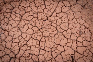 Kızıl toprak kuraklık ve kirlilikten çatlamış ve çatlamış. Küresel solucan etkisi
