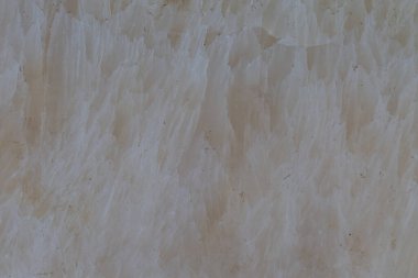 A close-up photo of the cream-colored stone, showing the details of the stone texture. clipart