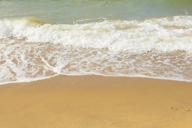 sand on the beach natural for background