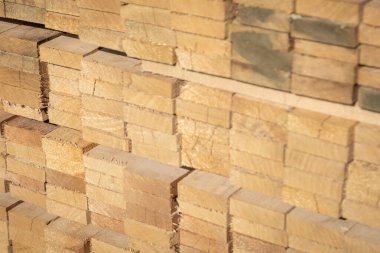 Kereste deposunda istiflenmiş ahşap kalaslar, çeşitli gölgeler ve dokular, düzenli bir şekilde düzenlenmiş..