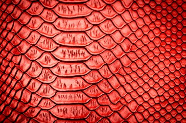 Kırmızı yılan derisi deseni arka plan için kullanılan yüzey detaylarını görebilir