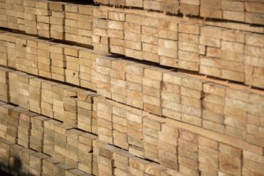 Kereste deposunda istiflenmiş ahşap kalaslar, çeşitli gölgeler ve dokular, düzenli bir şekilde düzenlenmiş..