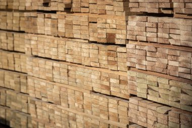 Kereste deposunda istiflenmiş ahşap kalaslar, çeşitli gölgeler ve dokular, düzenli bir şekilde düzenlenmiş..