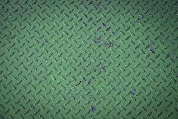 Yeşil elmas kaplama metal yüzey görünür aşınma ve çizikler