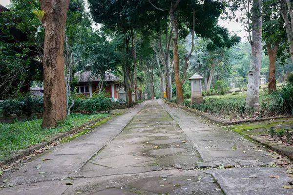 Bereketli, yeşil bir ormanda dolambaçlı, beton bir yol. Yol uzun ağaçlar ve yemyeşil bitki örtüsüyle kaplı. Bu da tepe örtüsü oluşturuyor. Güneş ışığı yaprakların arasından süzülüp yere lekeli gölgeler bırakır. Atmosfer huzurlu ve sakin.