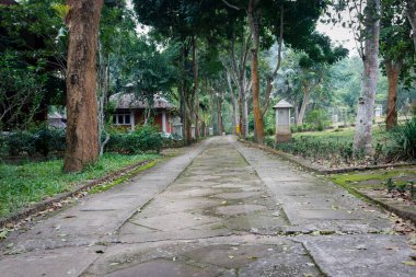 Bereketli, yeşil bir ormanda dolambaçlı, beton bir yol. Yol uzun ağaçlar ve yemyeşil bitki örtüsüyle kaplı. Bu da tepe örtüsü oluşturuyor. Güneş ışığı yaprakların arasından süzülüp yere lekeli gölgeler bırakır. Atmosfer huzurlu ve sakin.