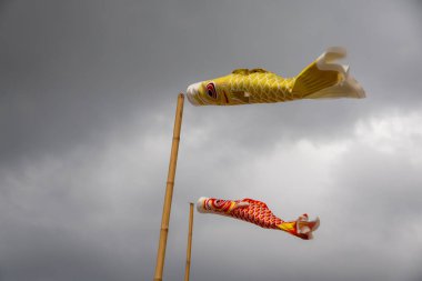 Bulutlu bir gökyüzünde uçan iki koinobori (sazan balığı flaması). Çocuklar Günü için geleneksel Japon süslemeleri, güç ve cesareti simgeliyor.