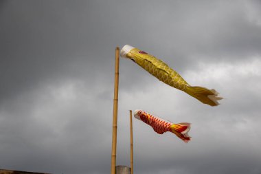 Bulutlu bir gökyüzünde uçan iki koinobori (sazan balığı flaması). Çocuklar Günü için geleneksel Japon süslemeleri, güç ve cesareti simgeliyor.