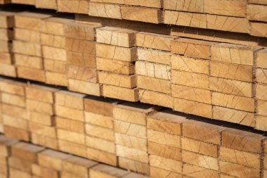 Kereste deposunda istiflenmiş ahşap kalaslar, çeşitli gölgeler ve dokular, düzenli bir şekilde düzenlenmiş..