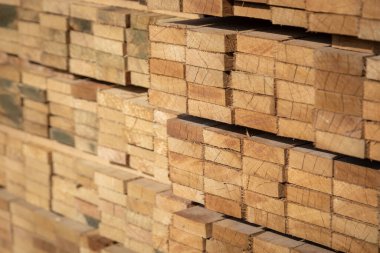 Kereste deposunda istiflenmiş ahşap kalaslar, çeşitli gölgeler ve dokular, düzenli bir şekilde düzenlenmiş..