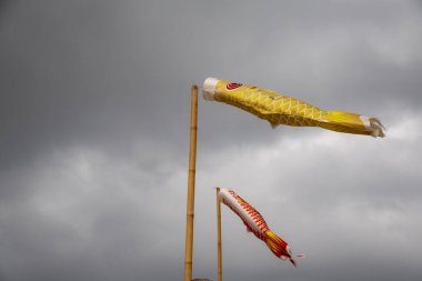 Bulutlu bir gökyüzünde uçan iki koinobori (sazan balığı flaması). Çocuklar Günü için geleneksel Japon süslemeleri, güç ve cesareti simgeliyor.