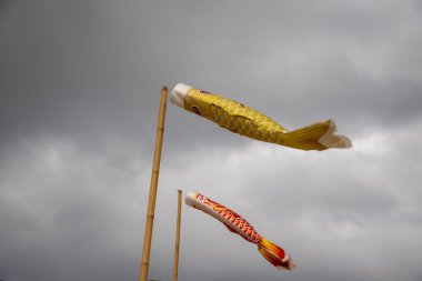 Bulutlu bir gökyüzünde uçan iki koinobori (sazan balığı flaması). Çocuklar Günü için geleneksel Japon süslemeleri, güç ve cesareti simgeliyor.