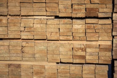 Kereste deposunda istiflenmiş ahşap kalaslar, çeşitli gölgeler ve dokular, düzenli bir şekilde düzenlenmiş..