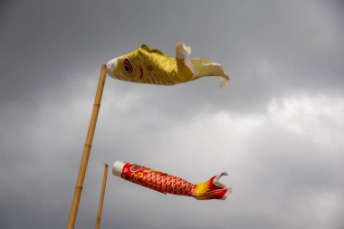 Bulutlu bir gökyüzünde uçan iki koinobori (sazan balığı flaması). Çocuklar Günü için geleneksel Japon süslemeleri, güç ve cesareti simgeliyor.
