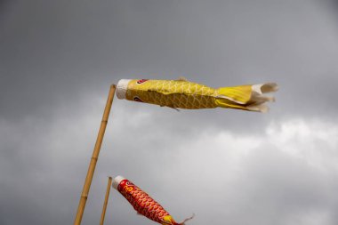 Bulutlu bir gökyüzünde uçan iki koinobori (sazan balığı flaması). Çocuklar Günü için geleneksel Japon süslemeleri, güç ve cesareti simgeliyor.