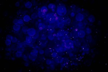 Mor menekşe ve mavi noktalı bulanık fotoğraf. Parlak, parlak bir görünüş. Duvar kağıdı olarak kullanılabilecek kadar lüks.