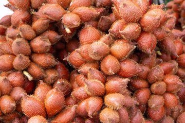 Yılan meyvesi olarak da bilinen Salacca meyveleri yığını eşsiz kırmızımsı kahverengi, pullu derilerini ve dikenli görünüşlerini sergiliyor. Meyveler bir araya toplanmış ve tropikal kökenlerini vurguluyorlar..