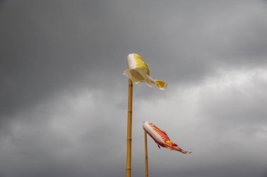 Bulutlu bir gökyüzünde uçan iki koinobori (sazan balığı flaması). Çocuklar Günü için geleneksel Japon süslemeleri, güç ve cesareti simgeliyor.