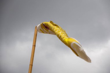 Bulutlu bir gökyüzünde uçan iki koinobori (sazan balığı flaması). Çocuklar Günü için geleneksel Japon süslemeleri, güç ve cesareti simgeliyor.