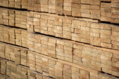 Kereste deposunda istiflenmiş ahşap kalaslar, çeşitli gölgeler ve dokular, düzenli bir şekilde düzenlenmiş..