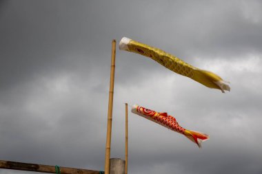 Bulutlu bir gökyüzünde uçan iki koinobori (sazan balığı flaması). Çocuklar Günü için geleneksel Japon süslemeleri, güç ve cesareti simgeliyor.