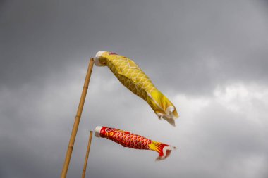 Bulutlu bir gökyüzünde uçan iki koinobori (sazan balığı flaması). Çocuklar Günü için geleneksel Japon süslemeleri, güç ve cesareti simgeliyor.