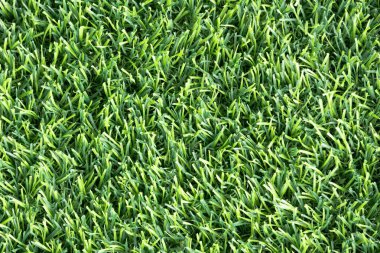 yemyeşil suni bir çimenliğe yakın çekim. Çimenlerin sentetik yaprakları mükemmel bir şekilde hizalanmış ve halı benzeri bir arka plan oluşturuyor.