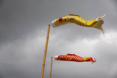 Bulutlu bir gökyüzünde uçan iki koinobori (sazan balığı flaması). Çocuklar Günü için geleneksel Japon süslemeleri, güç ve cesareti simgeliyor.