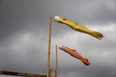 Bulutlu bir gökyüzünde uçan iki koinobori (sazan balığı flaması). Çocuklar Günü için geleneksel Japon süslemeleri, güç ve cesareti simgeliyor.