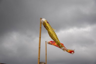 Bulutlu bir gökyüzünde uçan iki koinobori (sazan balığı flaması). Çocuklar Günü için geleneksel Japon süslemeleri, güç ve cesareti simgeliyor.