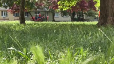 Çim biçme makineleriyle şehir parkındaki çimlerin bakımı