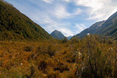 Milford pistinin ilk günü, Te Anau 'dan Milford Sound' a, Fiordland Ulusal Parkı Yeni Zelanda
