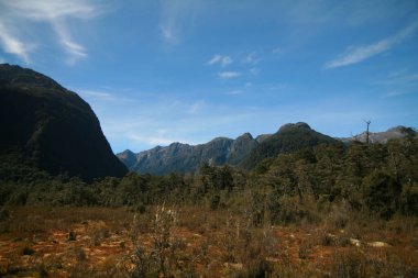 Milford yolu güneşli bir gün manzarası, Fiordland Ulusal Parkı Yeni Zelanda