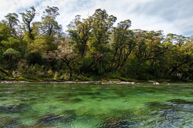 Clinton Nehri Yeni Zelanda, Te Anau 'dan Milford Sound, Fiordland Ulusal Parkı' na