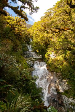 Anderson Şelaleleri, Milford Pisti 'ne şelale şelalesi, Moraine Deresi, Fiordland, Yeni Zelanda