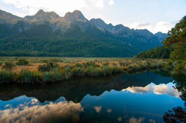 Ayna Gölleri Yeni Zelanda, Earl Dağları sudaki yansıma, Fiordland Ulusal Parkı