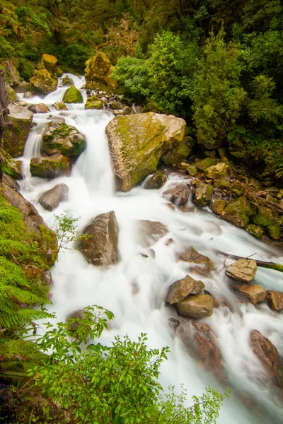 Marian Şelalesi Pisti, Fiordland Şelalesi Yeni Zelanda Yerli yağmur ormanlarıyla