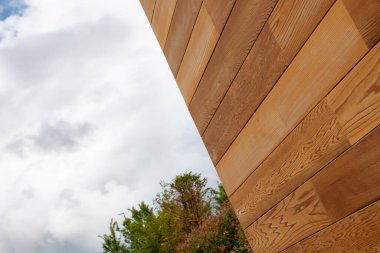 Kırmızı sedir kerestesi. Nautural ahşap dokusunu ve gökyüzünü kapat. Alan arkaplanını kopyala