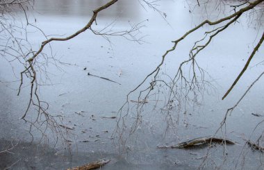Soğuk kış donmuş doğaya yakın, buz gibi tahta dallar buz gibi suya değiyor.