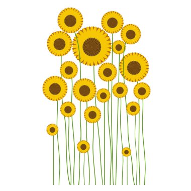 Bahar çiçeği. Beyaz Arkaplan 'da ilk bahar çiçekleri izole edilmiş. Sarı Çiçek Güzel vektör çizimi. Tasarım için elementler.